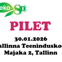 Teko 80 (piletid)